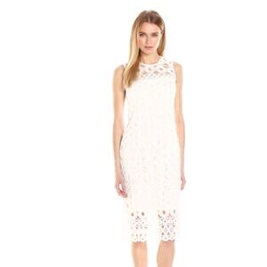 Taylor Dress size 4 white Women's Chemical Burnout Long and Lean Lace Sheath